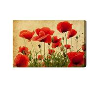 Generisch Impression sur toile motif coquelicots sauvages au style vintage - Décoration murale moderne et impression d'art - Tableaux muraux pour salon, chambre à coucher, cuisine, couloir - XXL - 90