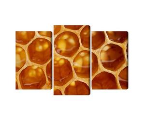 Generisch Impression sur toile plusieurs parties - Macro nid d'abeille - Décoration murale moderne et impression d'art - Pour salon, chambre à coucher, cuisine, couloir - XXL - 60 x 40 cm