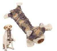 Generisch Juguete Indestructible para perro - OSO de peluche masticable para perros juguetes interactivos para cachorros, perfecto para morder, jugar y mantener dientes sanos