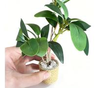 Generisch Kit de Miniatures pour Maison de - - 1:6 - Mini Jardin - Petites Fleurs - Modèle Vert - Ornements de Jardin féérique - Accessoires de Maison de