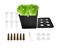 Generisch Kit de plantation - Kit complet pour toute l'année - Kit de culture d'intérieur - Pour légumes, salade, balcon, terrasse, hôtel, appartement