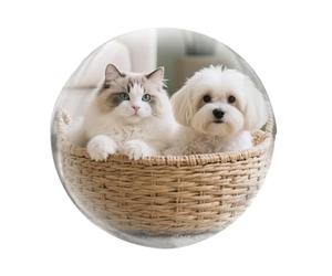 Generisch Lampe de rappel | Haut-parleur décoratif numérique de 7 cm | Boule vidéo à des fins décoratives - pour bureau, anniversaire, maison, table, famille, Noël et chambre à coucher