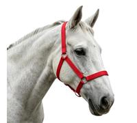 Generisch Licol réglable pour pâturages et spectacles de chevaux | Harnais d'équitation pour différents animaux de ferme tels que les chèvres, moutons, agneaux, veaux et vaches