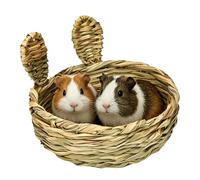 Generisch Lit de couchage pour lapin | Tapis de couchage et à mâcher | Tapis de foin | Pour petits animaux de compagnie tels que furets, gerbilles, chinchillas ainsi que pour les cages, les étables