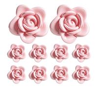 Generisch Lot de 10 clips muraux autocollants pour grimpantes - Pour le soutien à la traction des grimpantes en extérieur, sur le balcon et dans le jardin