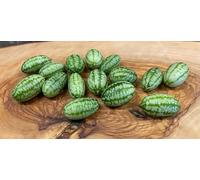 Generisch Lot de 10 mini graines de concombre mexicain Melothria Scabra - Vert - Hauteur : 3 m - Taux de germination élevé - Culture en plein air - Emplacement partiellement ensoleillé