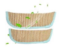 Generisch Lot de 2 coussins d'herbe à chat - Compagnon interactif - Coussin pour chat contre l'ennui chez les chatons - Pour petite, moyenne et grande race, appartement, bureau, jardin