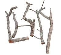 Generisch Lot de 5 branches en liège de 45 à 65 cm de long, 2 à 5 cm de diamètre, pour terrariums, cages à oiseaux, décoration, 100 % liège du Portugal - Qualité supérieure