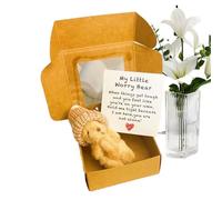 Generisch Mini ours - Doudou ours en carton - Idée cadeau avec carte et sac à message pour enfants, mères, tout-petits, Saint-Valentin, Noël