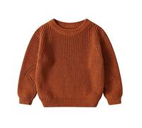 Generisch Nourrisson Petit Enfant Bébé Garçons Pull Tricoté Blouses Pull-over Pull Chaud Col Rond Manches Longues Hauts Vêtements d'Hiver 3 Survêtement Bébé Jogging, marron, 12-18 mois
