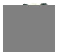 Generisch Panda - Peluche réaliste - Modèle panda en peluche - Compagnon émotionnel réconfortant - Modèle mignon pour femmes, adolescents, adultes et filles