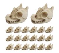 Generisch Pierres décoratives pour vase - Galets décoratifs - Vingt crânes de dragon polis - Accessoires design pour jardin, aménagement paysager intérieur extérieur
