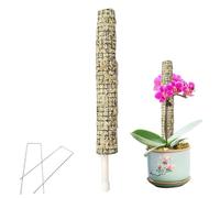 Generisch Piquet de mousse pour monstera | Tuteurs de sphaigne auto-arrosants | Véritable bâton de mousse, en pot faites à la main, grille de support, parfait pour les grandes