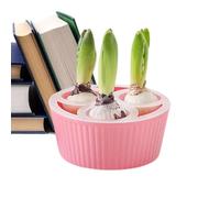 Generisch Planteur - Pot en polypropylène de 15,2 cm | Vase à ampoule | Kit de jardin intérieur pour fenêtre et décoration intérieure