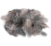 Generisch Plumes naturelles pour travaux manuels, décoration de Pâques, 4,5 à 10 cm, œufs de caille décoratifs, marron, plumes de pintade, décoration de Pâques, pour boucles d'oreilles, mariage