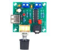 Generisch PM2038 Module amplificateur auditif 5 W x 2 sorties Bloc d'alimentation USB pour module d'amplification USB fiable et simple