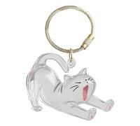 Generisch Porte-Poils de Chien - Clé commémorative - Breloque Souvenir pour Adultes, Filles et | Ornement Portable, Bijou commémoratif pour Chat, urne Miniature Transparente en Argent