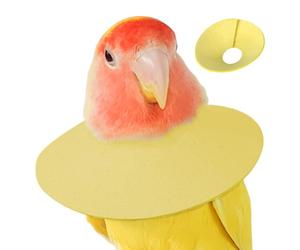 Generisch Protection contre les oiseaux - Col souple de 10 cm - Protection anti-morsure - Aide à la récupération contre les perruches à plumes - Soutien de la - Polaire confortable