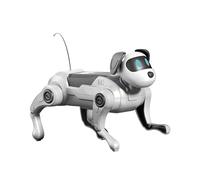 Generisch Puzzle DIY 2026 pour enfants avec robot télécommandé. Grâce à sa structure robuste, il reste une source de divertissement pendant longtemps. (Gris, 22 x 18 x 4,50 cm)