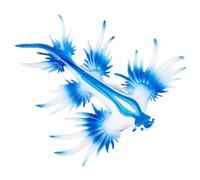 Generisch Sculpture d'escargot de mer, jouet de modèle d'animaux marins, petit animal marin réaliste, modèle d'escargot et de figurine de simulation