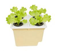 Generisch Seau de culture hydroponique - Siphon de drainage - Accessoire de jardin - Seau de croissance hydroponique - Pour l'intérieur et l'extérieur - Rebord de fenêtre, balcon, serre, tomates