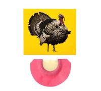 Generisch Sifflet à effet sonore d'oiseau, sifflet fou, sons d'animaux, sifflet d'oiseau aux couleurs vives, il peut imiter l'appel d'une dinde pour les fêtes d'anniversaire pour le poisson d'avril