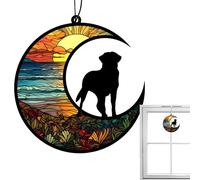 Generisch Souvenirs pour chiens, rappels pour chiens | Décoration de Noël en acrylique coloré pour chien - Fournitures pour animaux de compagnie, ornements de sympathie pour chien
