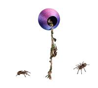 Generisch Spider Habitat - Avec corde d'escalade magnétique, cachette d'escalade pour araignées des arbres - Pour grimper, reposer, remuer, pour gecko, serviteur de Dieu