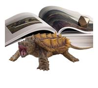 Generisch Statue de tortue en forme de tortue d'eau douce - Décoration de la maison, cadeaux pour , collection d'animaux, amélioration de la cognition des