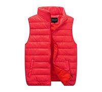 Generisch Steppweste Herren Winter, Weste Damen Outdoor Leicht Winterweste Unisexe Gilet Stehkragen Übergangswesten Warme Daunenweste Für Paare Ärmellos Jacke Einfarbig Outdoorwesten Vest
