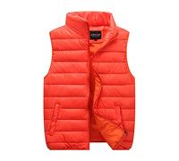 Generisch Steppweste Herren Winter, Weste Damen Outdoor Leicht Winterweste Unisexe Gilet Stehkragen Übergangswesten Warme Daunenweste Für Paare Ärmellos Jacke Einfarbig Outdoorwesten Vest