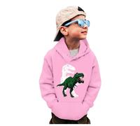 Generisch Sweats à col rond pour garçons - T-shirt à col rond - Dinosaure - Manches longues - Pull - Hauts - T-shirts - Sweat-shirt pour adolescents et garçons, Rose, 3-4 ans
