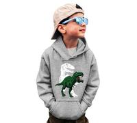 Generisch Sweats à col rond pour garçons - T-shirt à col rond - Dinosaure - Manches longues - Pull - Hauts - T-shirts - Sweat-shirt pour adolescents et garçons, gris, 9-10 ans