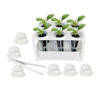 Generisch Système hydroponique - Amovible - Peu encombrant - Antidérapant - Système de plantes d'intérieur avec bac de germination - Pour légumes, bureau, balcon, jardin, terrasse, arrosage, semis