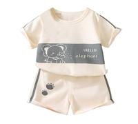 Generisch T-shirt à manches courtes pour enfant garçon - Imprimé dinosaure - 2 pièces - Vert - 18-24 mois, Gris clair., 4-5 ans