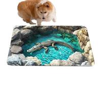 Generisch Tapis, illusion d'optique Tapis 3D illusion d'optique Paillasson CooleOptique Piège avec dessous antidérapant pour la maison, l'entrée extérieure, la cour, la terrasse