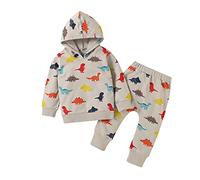 Generisch Vêtements pour bébé fille garçon dinosaure imprimé sweat à capuche manches longues haut pantalon tenues ensemble bébé tout-petit, gris, 6-12 mois