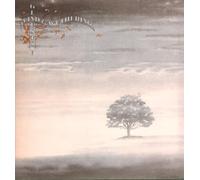 Genesis - Genesis Wind And Wuthering LP Charisma CDS4005 VG/EX 1976 with inner