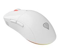 Genesis Souris Zircon XIII Blanche