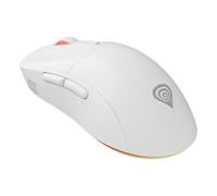 Genesis Souris Zircon XIII Blanche
