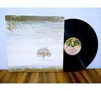 Genesis – Wind & Wuthering - 2nd – LP rose (Charisma)