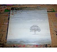 Genesis - Wind & Wuthering [Vinyl, 12" LP, NR: 9124 003].