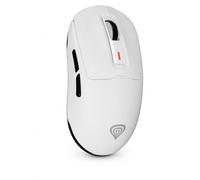 Genesis Gaming Souris Zircon 660 Gaming Droite RF sans fil Bluetooth USB Type-A 12000 DPI 6 boutons