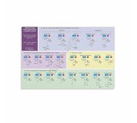 Genetic Code Poster Amino Acids DNA