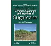 Genetics, Genomics And Breeding Of Sugarcane