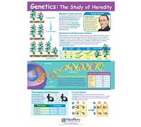 Genetics - The Study of Heredity - Guides d'apprentissage visuel, 5-4 panneaux, guides plastifiés de 27,9 x 43,2 cm, aperçu graphique en couleur, activités d'écriture/effacer