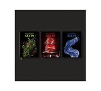 Genie Music P1Harmony - Harmony : All in (6th Mini Album) CD+Folded Poster (Random ver. / CD Only, No Poster)