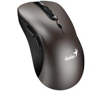 Genius Souris Ergo 8100S Champagne Titane