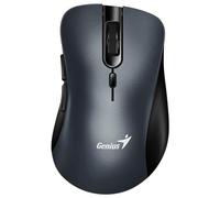 GENIUS Souris : Ergo 8100S Gris fer