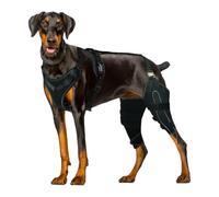 Genouillère Chien,Avec Stabilisateurs Métal Harnais Enveloppe Manche Articulations Genou,Attelle Pour Blessures Hanche Et Patte Arrière Pour Chien - Pour Soin Récupération Prévention Léchage Blessures